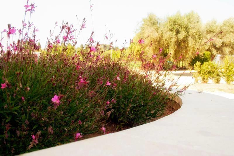 אוטרנטו Agriturismo Fontanelle מראה חיצוני תמונה