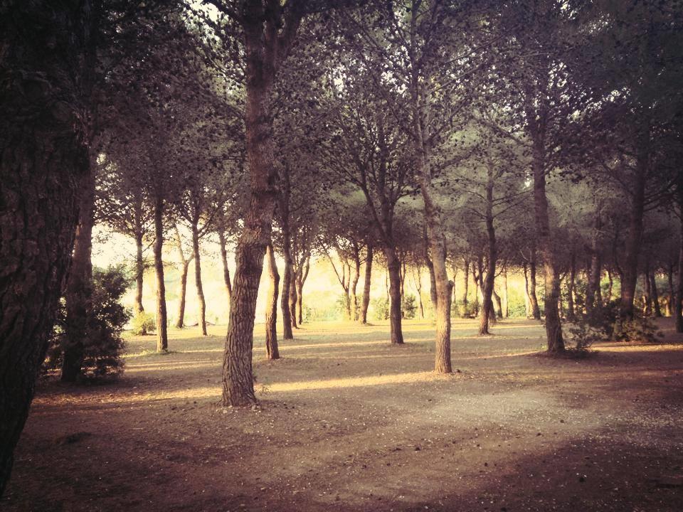 אוטרנטו Agriturismo Fontanelle מראה חיצוני תמונה